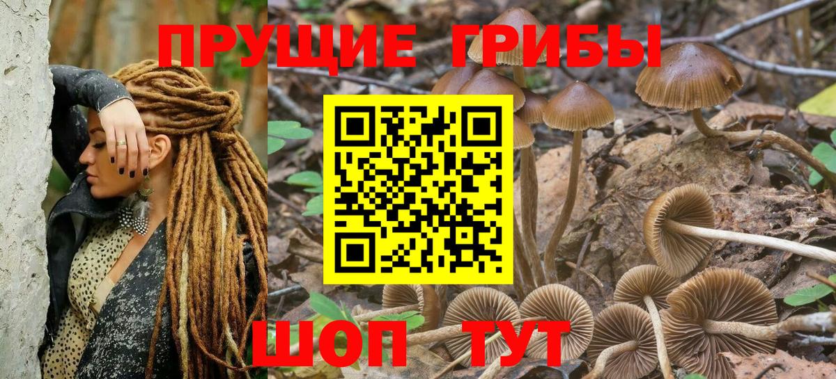 Псилоцибиновые грибы прущие грибы Людиново