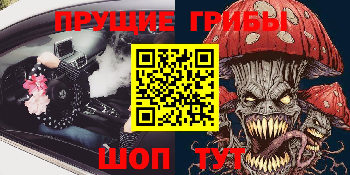 ГАШ Людиново